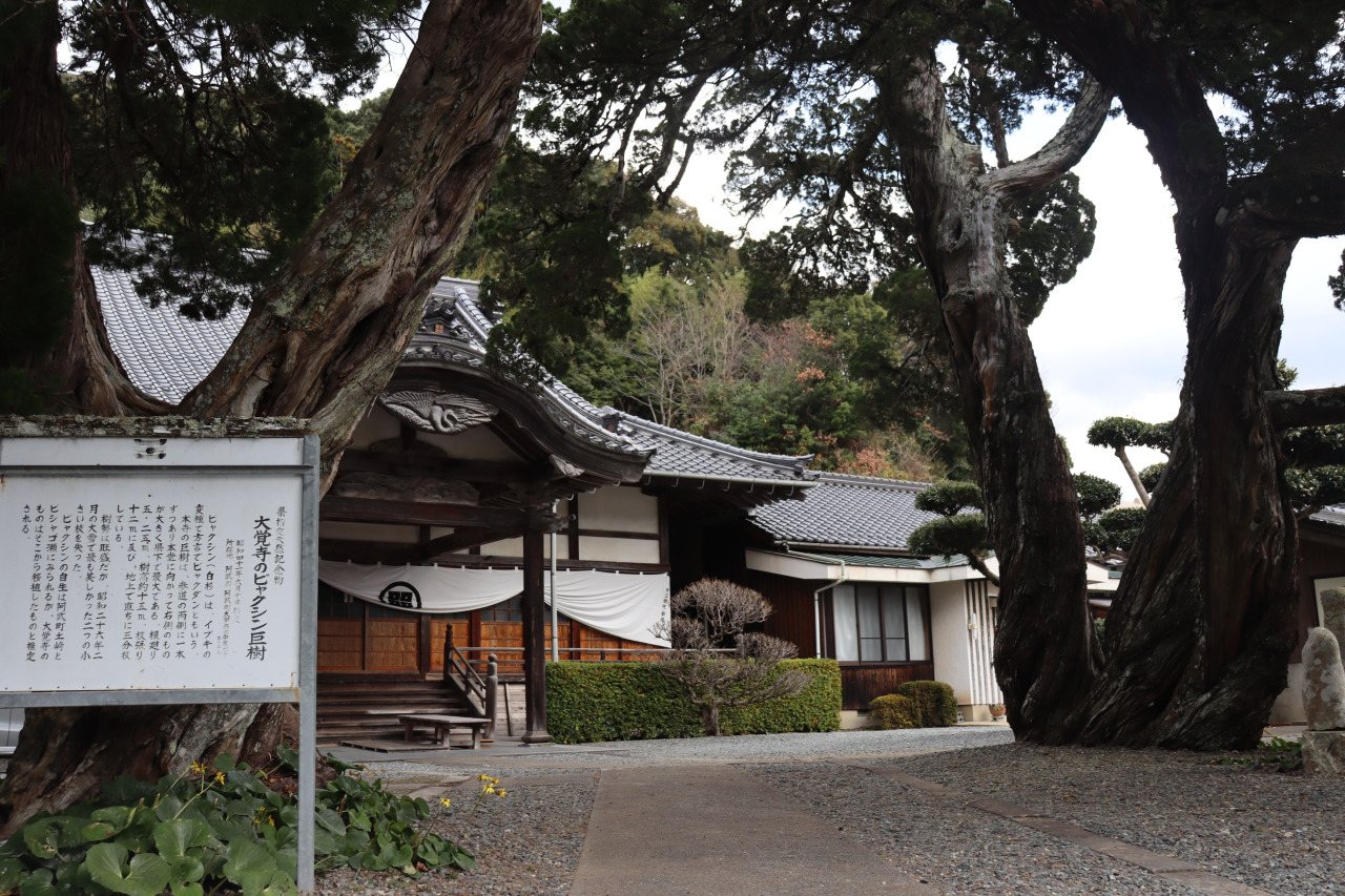 Daikaku-ji Temple