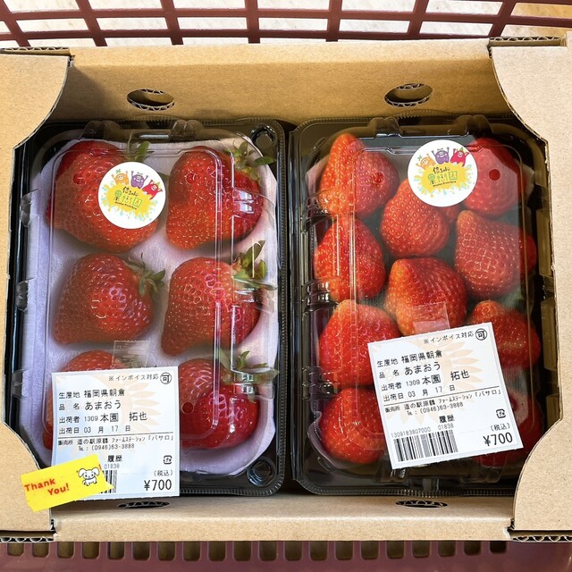チーズ職人とピッツァ　なかむら