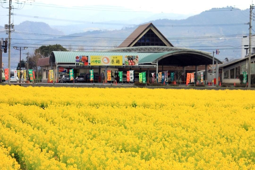 Roadside Station Hara Tsuru Farm Suteshombasaro