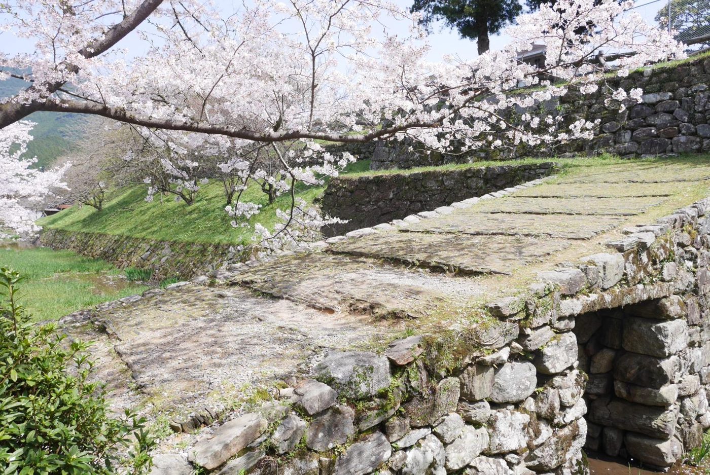 Akizuki Castle Ruins