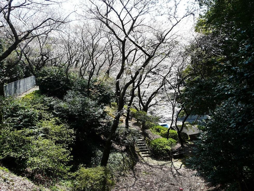Shiroyama Park