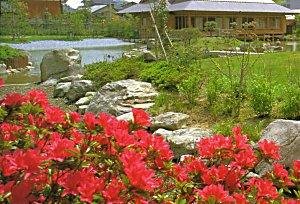 Uomi Park