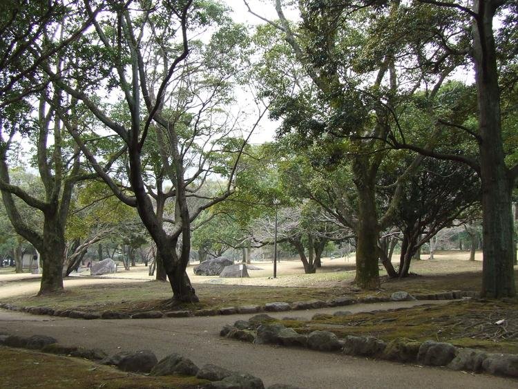 Minami Tateishi Park
