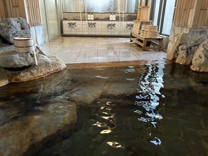 自家源泉かけ流しの宿 新ほり井