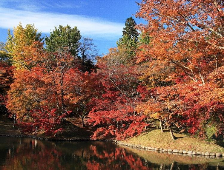 Yujaku Park