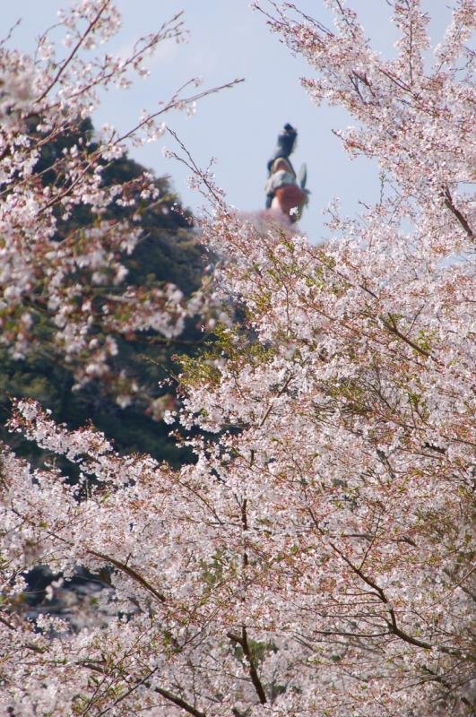 Uchiyama Kannon, Hasushiro-ji Temple