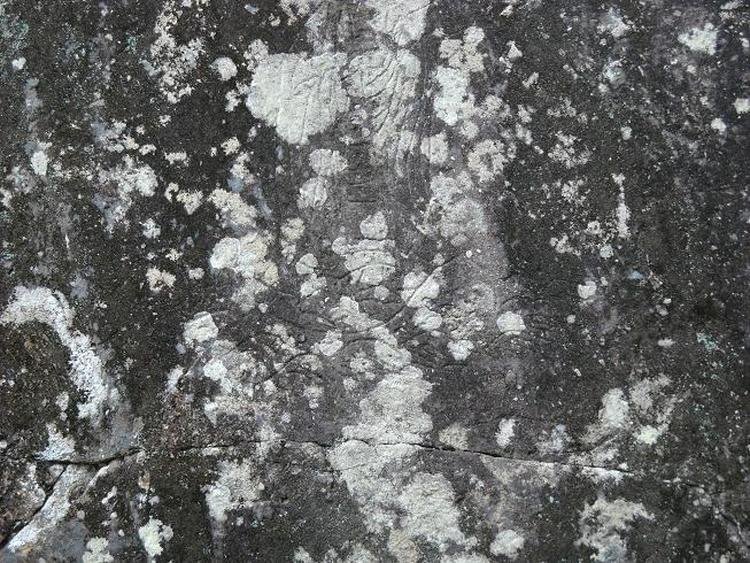 Inukai Port Hinomichi Naminori Ri Jizo