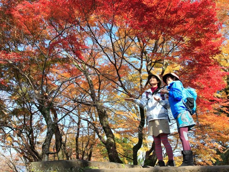 Kyushu Olle Oku-Bungo Course