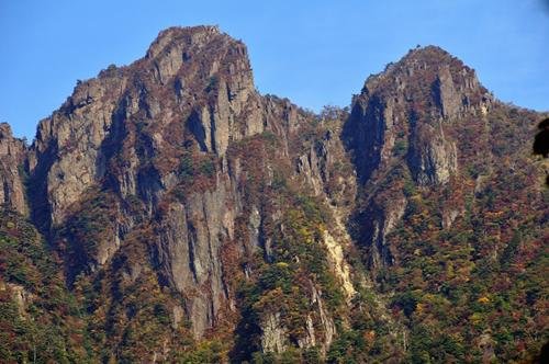 Treasure House of Living Things Selected for the Sobo-Katamuki Range UNESCO Eco-Park