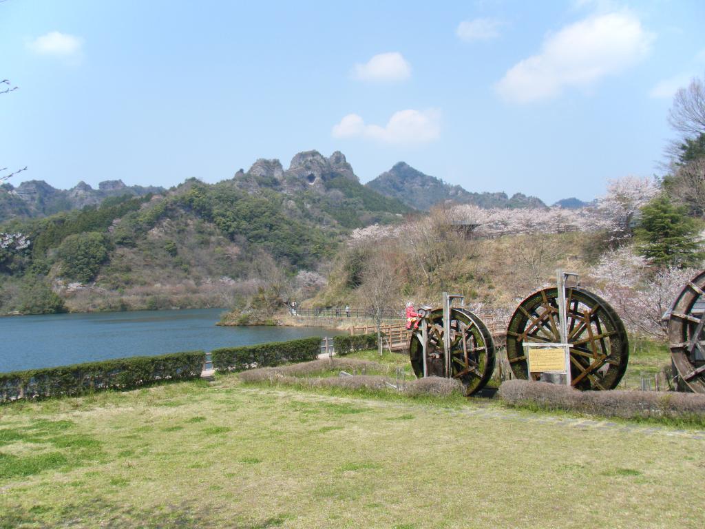 Cotton Mura