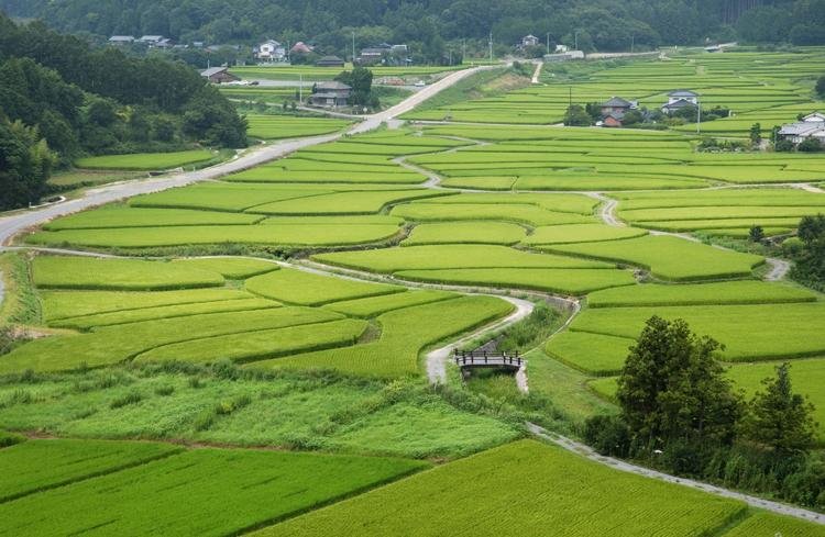 Tashibu Manor
