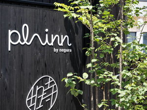 plainn by negura
