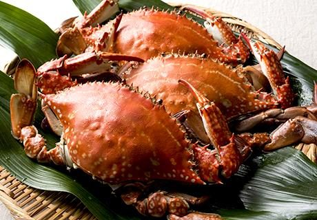 Buzen Genuine Crab