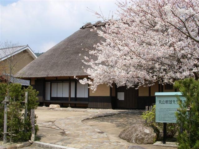 Tenho Hall