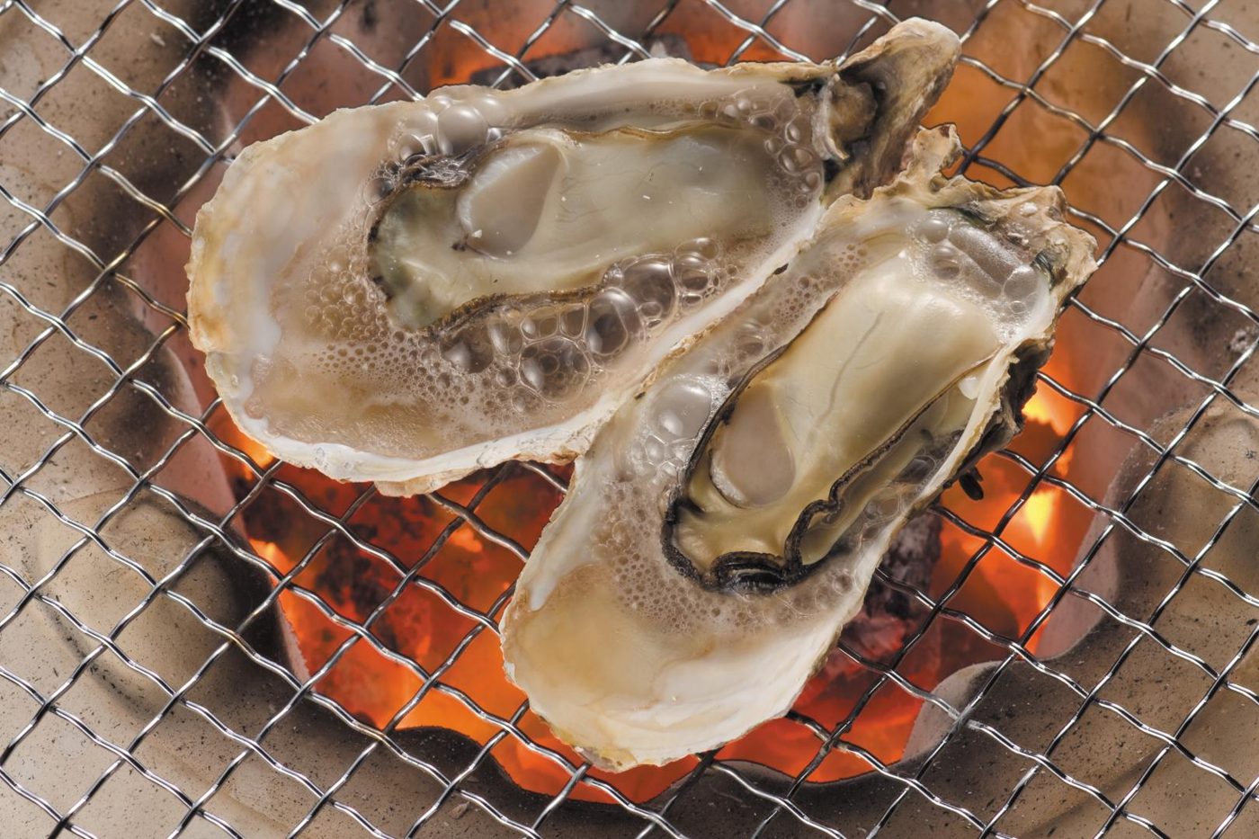 Buzen Sea Single Oyster