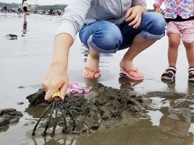 Clam Digging at Unoshima Coast