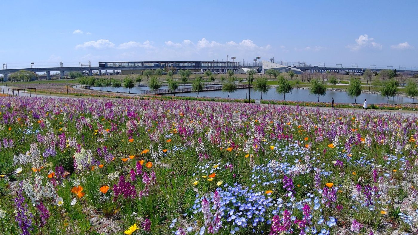 Fukuokaken Ei Chikugo Koiki Park