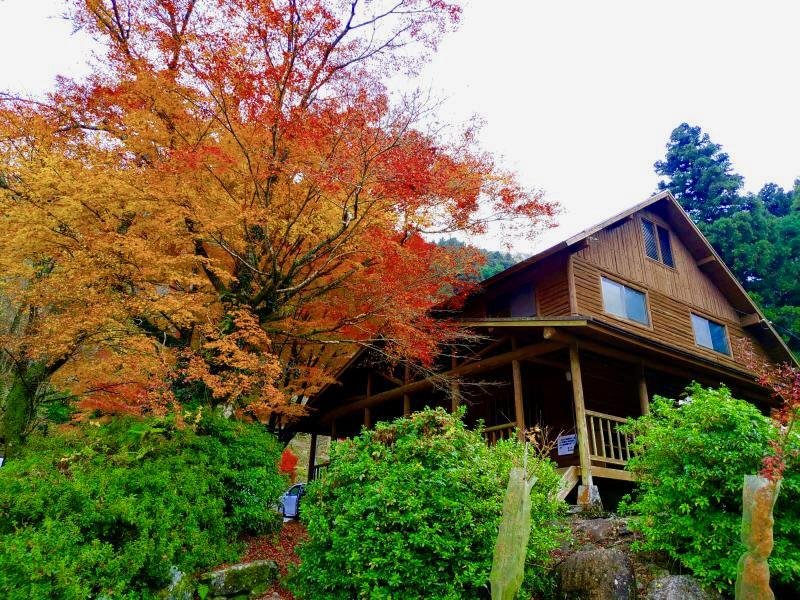 Maki no Hara Campground Shuhen no Autumn Leaves