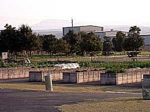 Shiida Agri Park (Farm Park)