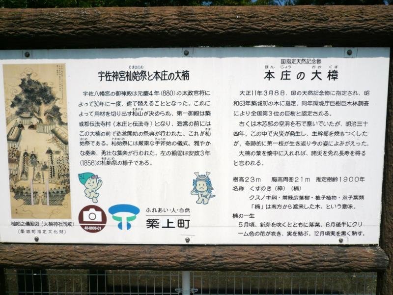 Honjo Great Camphor Tree