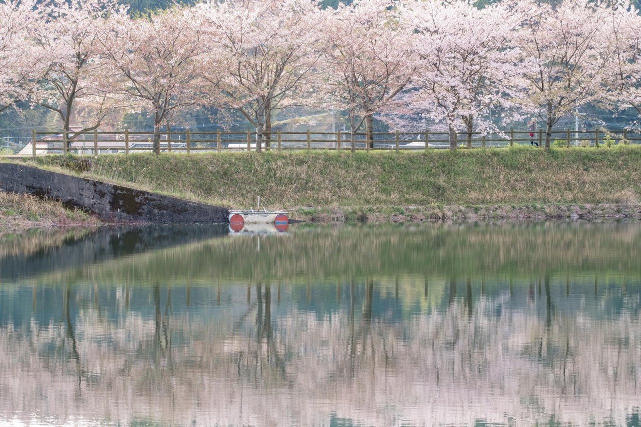 Sumiyaki Ike Park