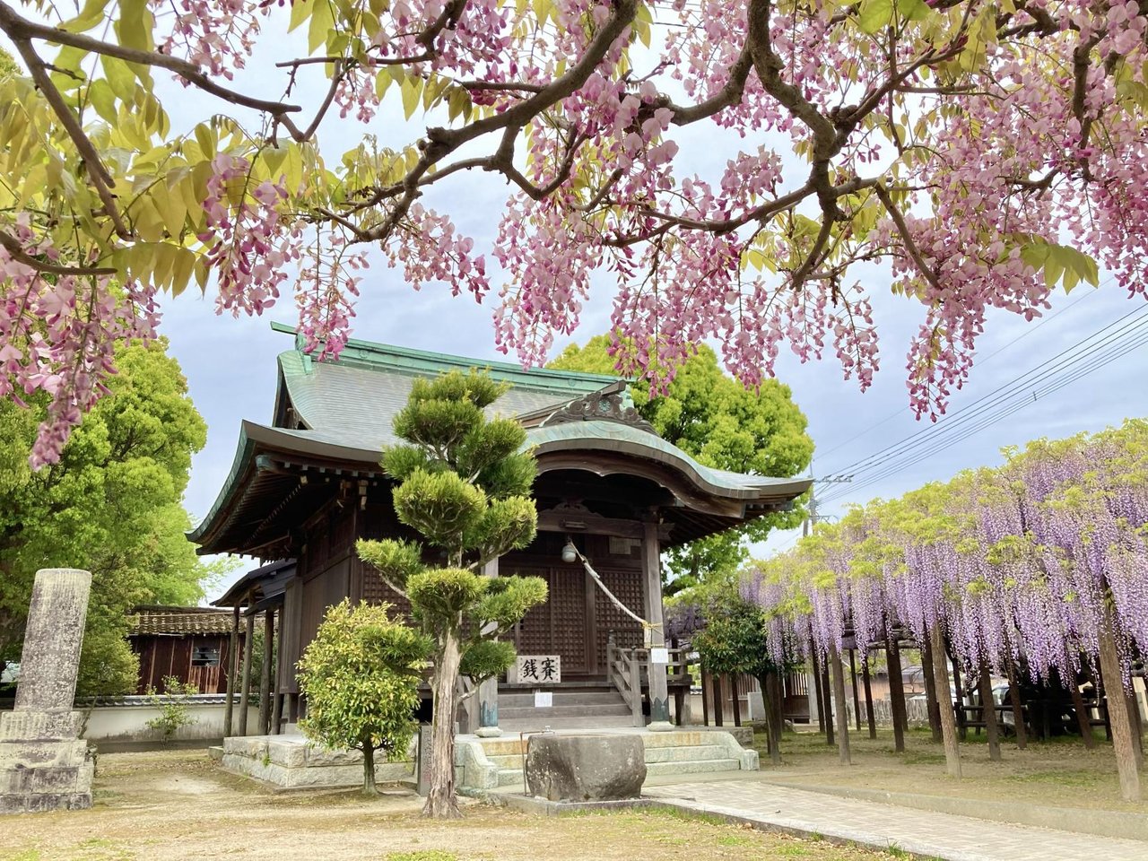 Fuji no Sato Park