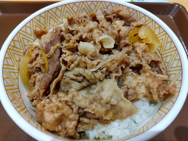 すき家 105号大仙北長野店