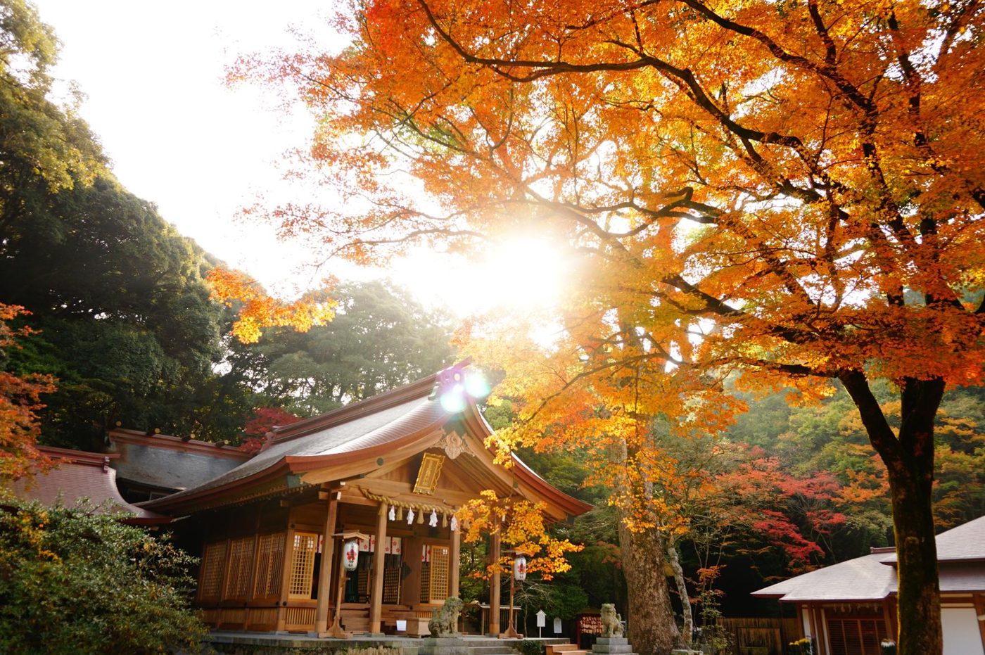 Homan-gu Kamado Shrine