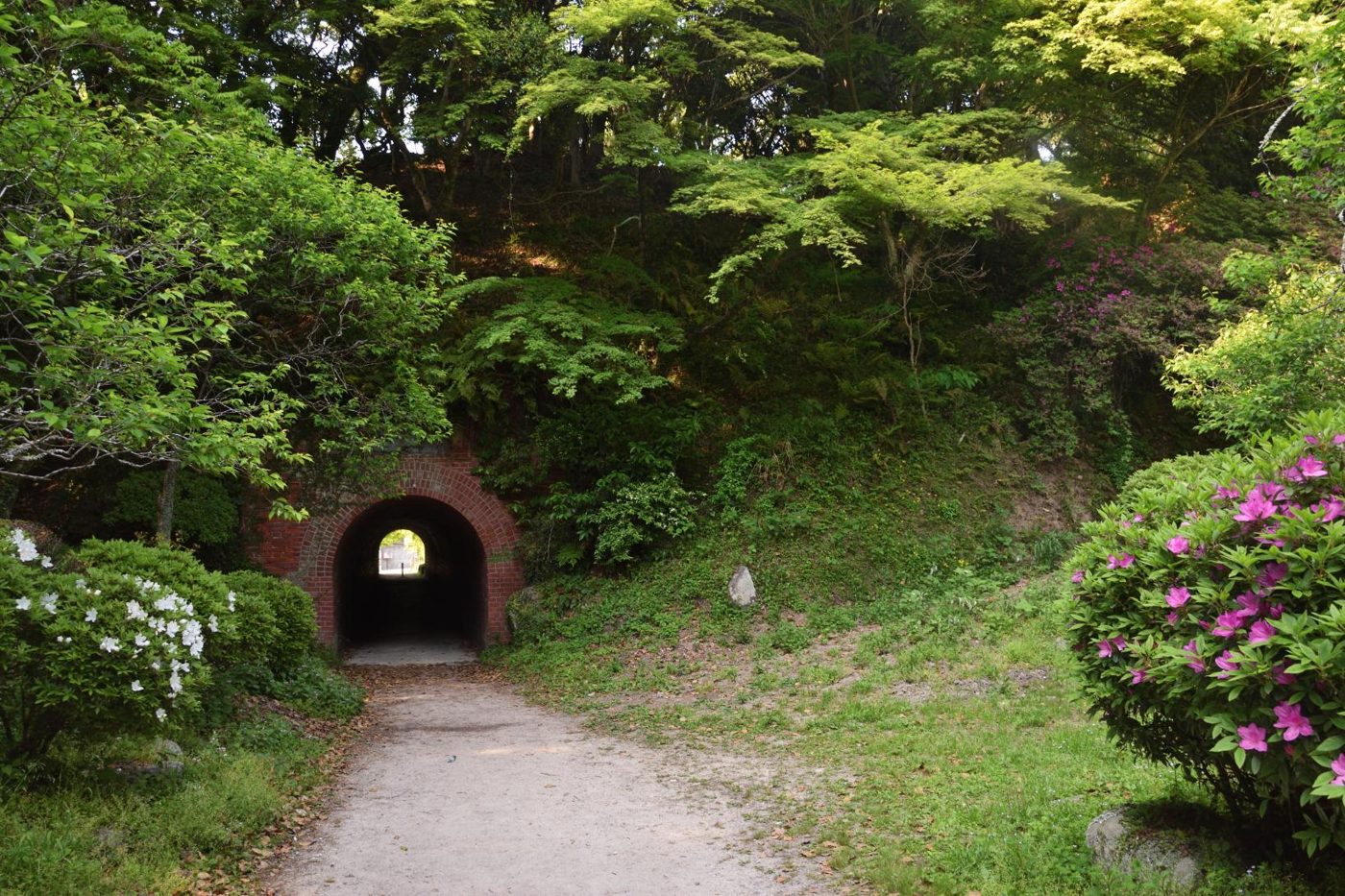 Oishi Tunnel (Dazaifu)