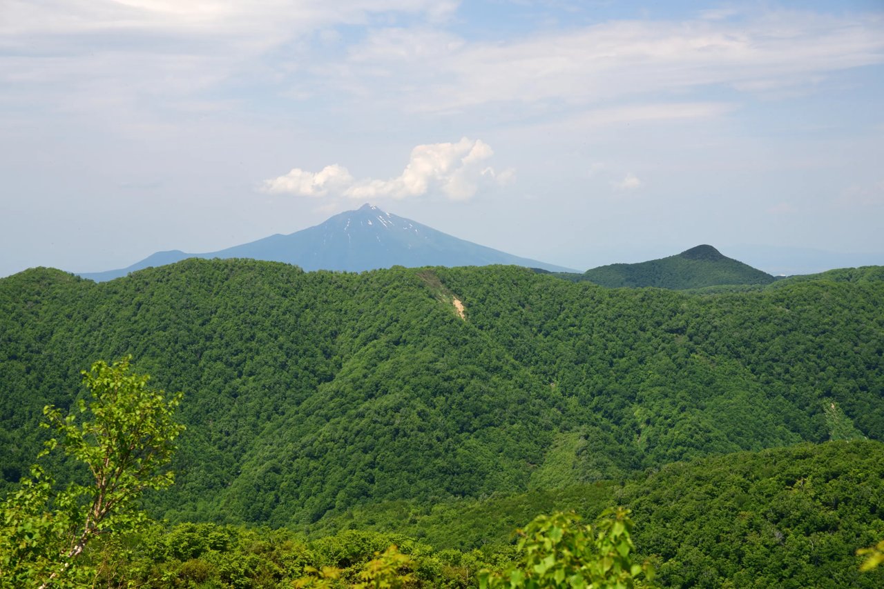 Fujisato Komagagaku (Fujisatokomagatake) / Tanae Dai Marsh (Tanashiroshitsugen)