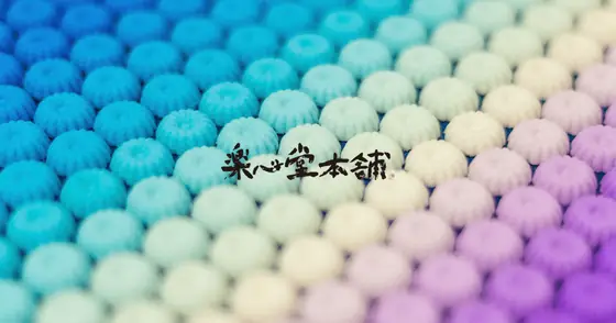 楽心堂本舗