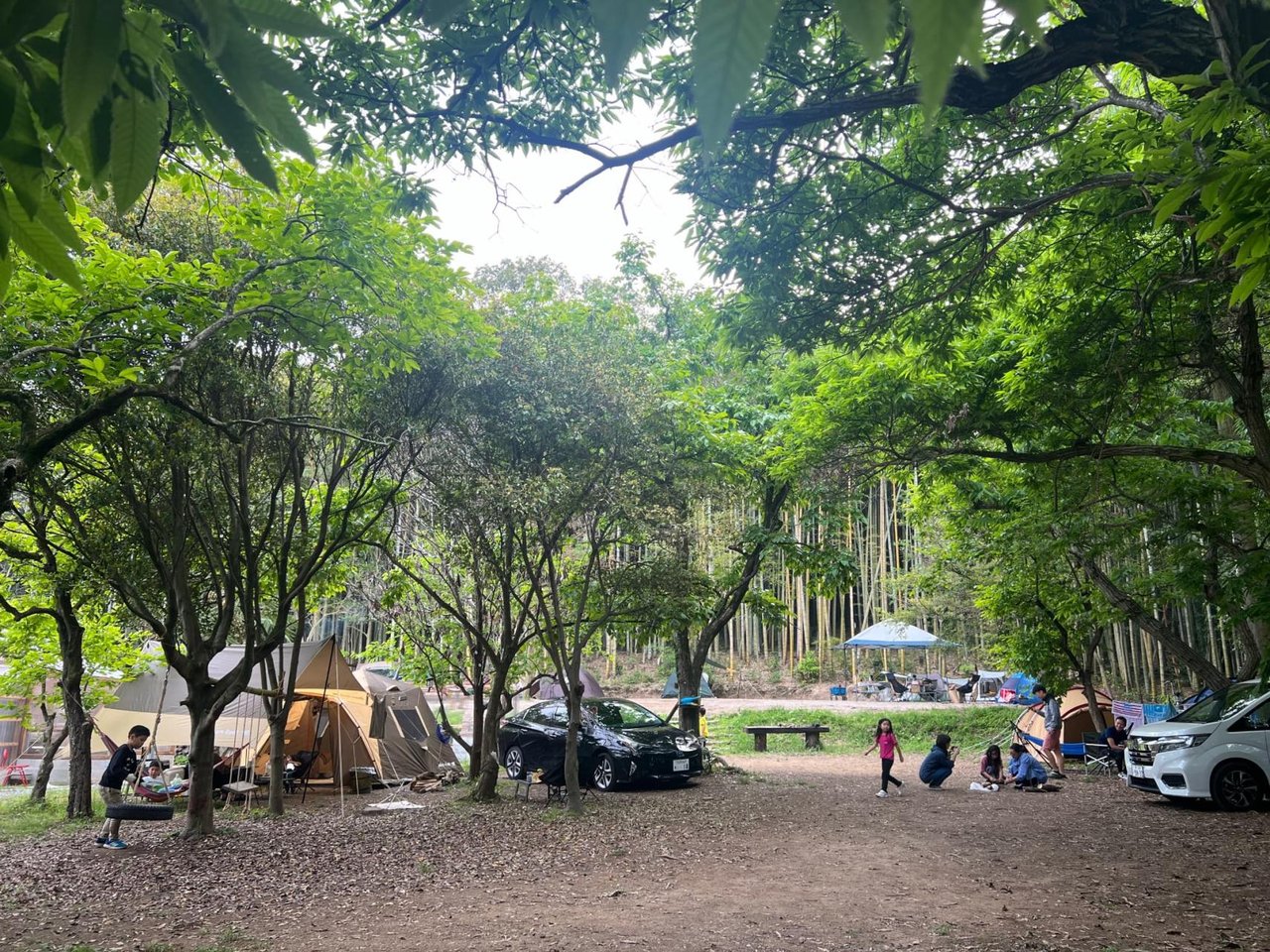 7 Sedai CAMP