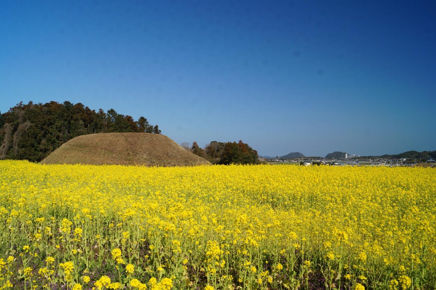 Shinbaru-Nuyama Burial Mounds (World Heritage)