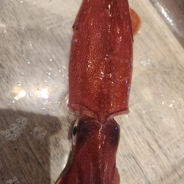 いかマルシェ スサノモノミトコ館