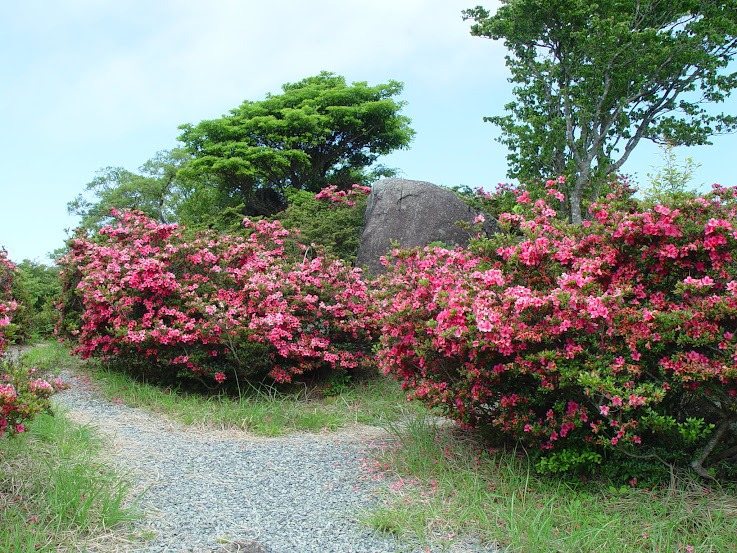 Kozan (Jishaku Ishi)