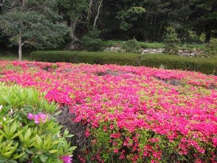 Ishibori Park