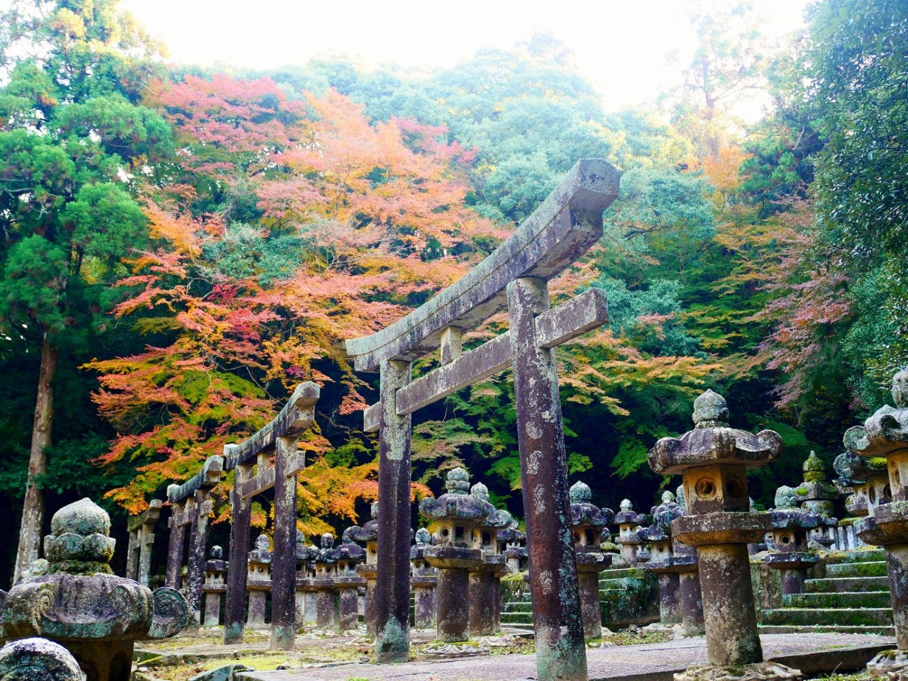 Oteru In