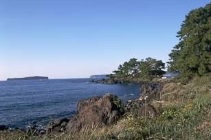 Toragasaki