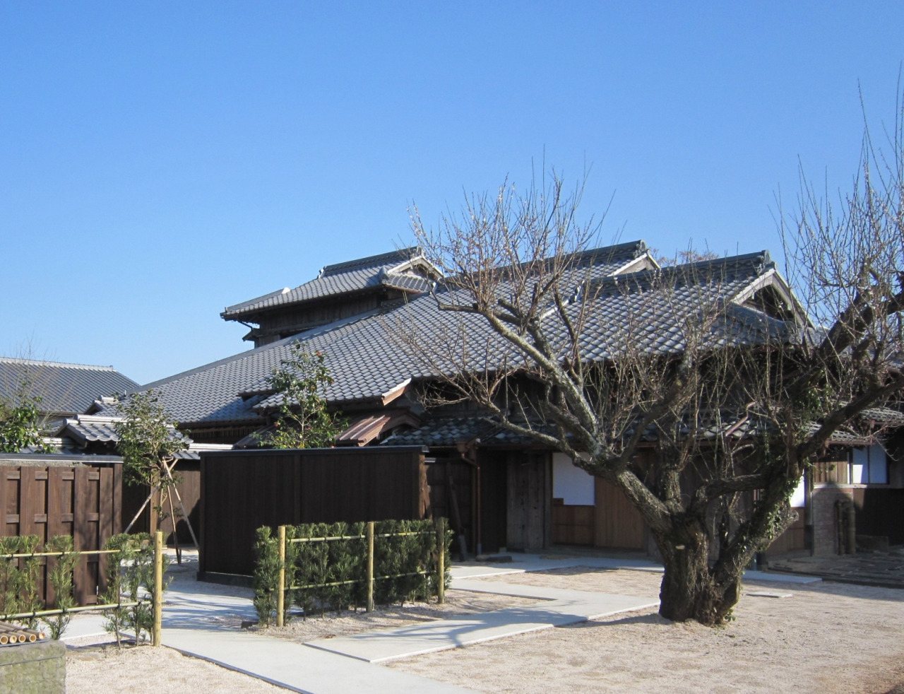 Watanabe Yomogi Kura Kyutaku