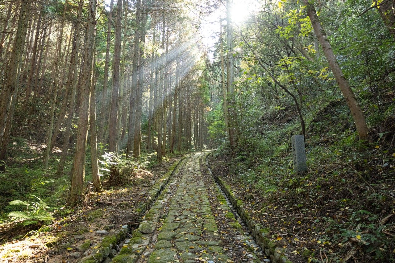 Issho Tani no Ishidatami (Hagi Okan)