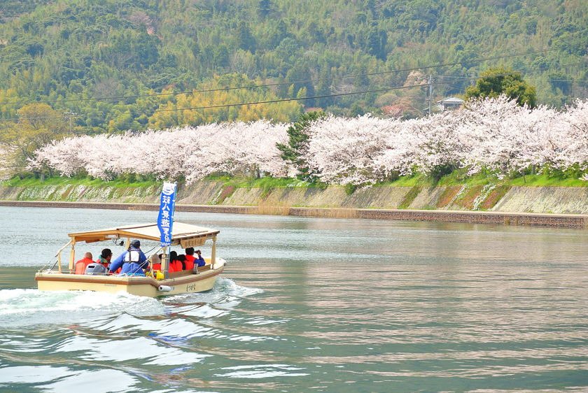 Hagi Hakkei Sightseeing Boat (Cherry Blossom & Autumn Leaves Course)