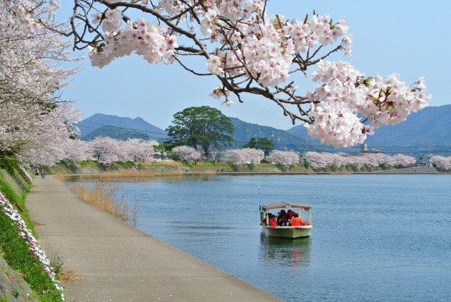 Hagi Hakkei Sightseeing Boat (Cherry Blossom Course)