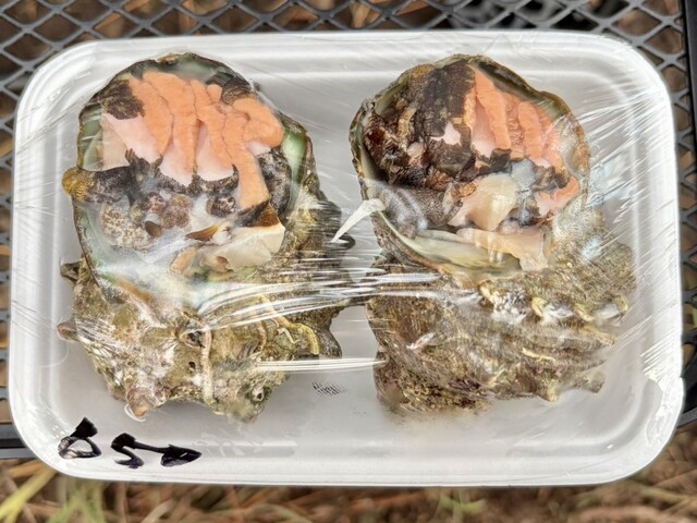 須藤鮮魚