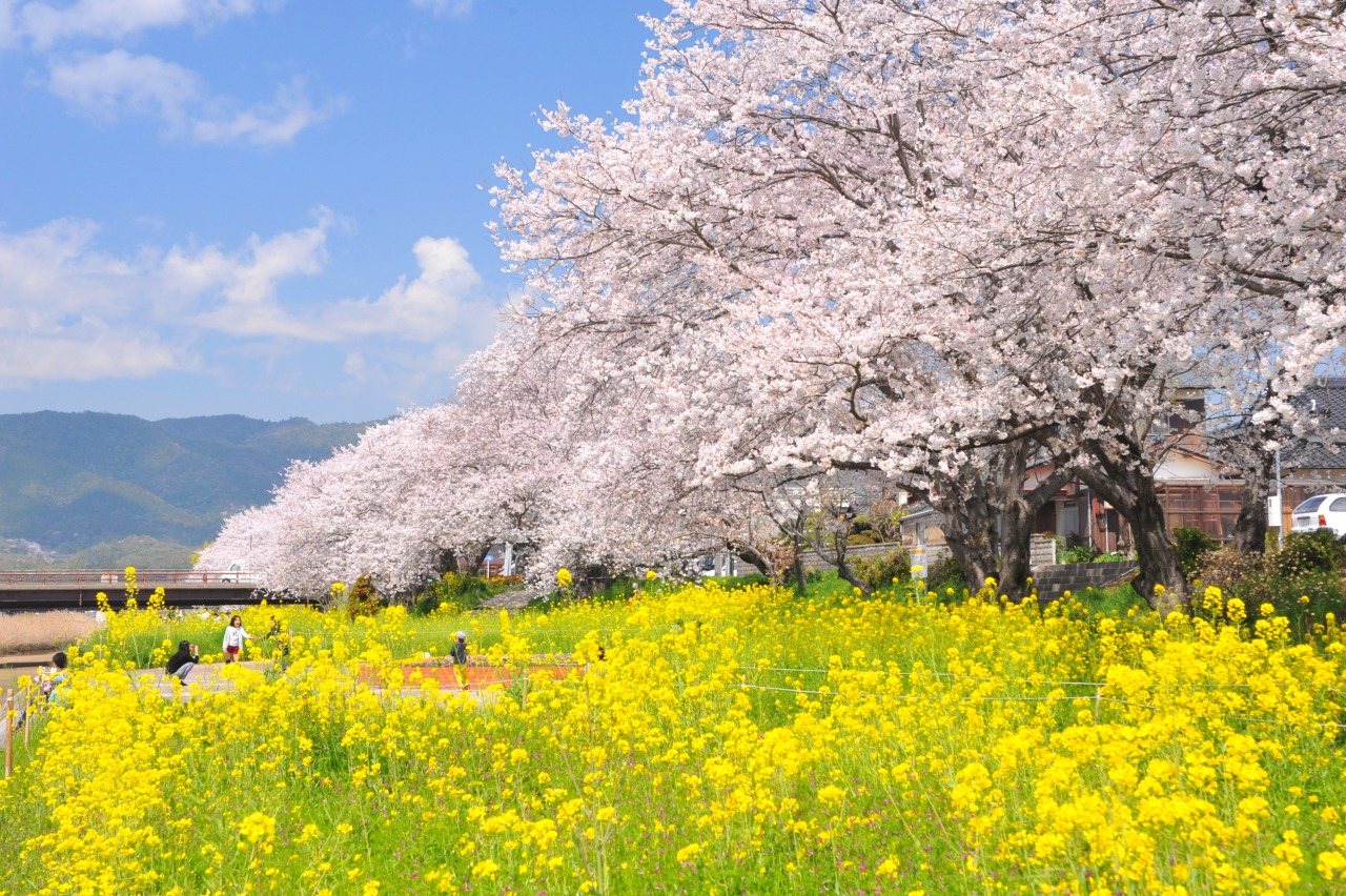 Shimada Kawa River Park