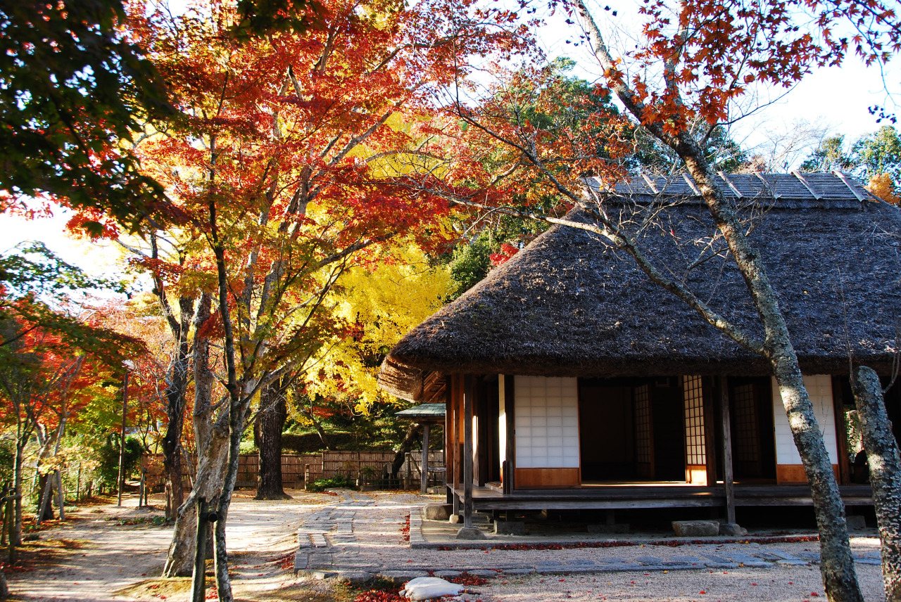 Ito Ko Museum Ito Ko Autumn Leaves Festival
