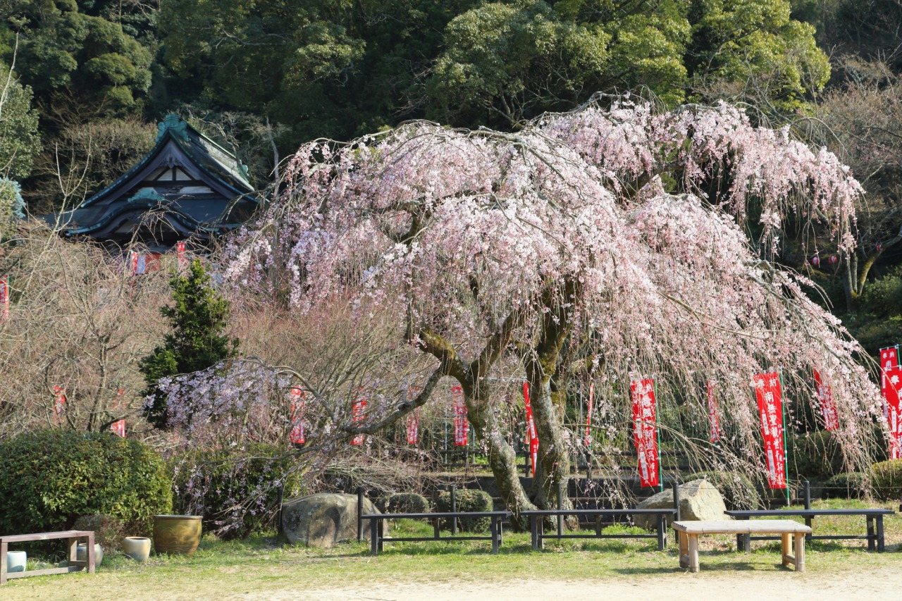 Hannya-ji Temple