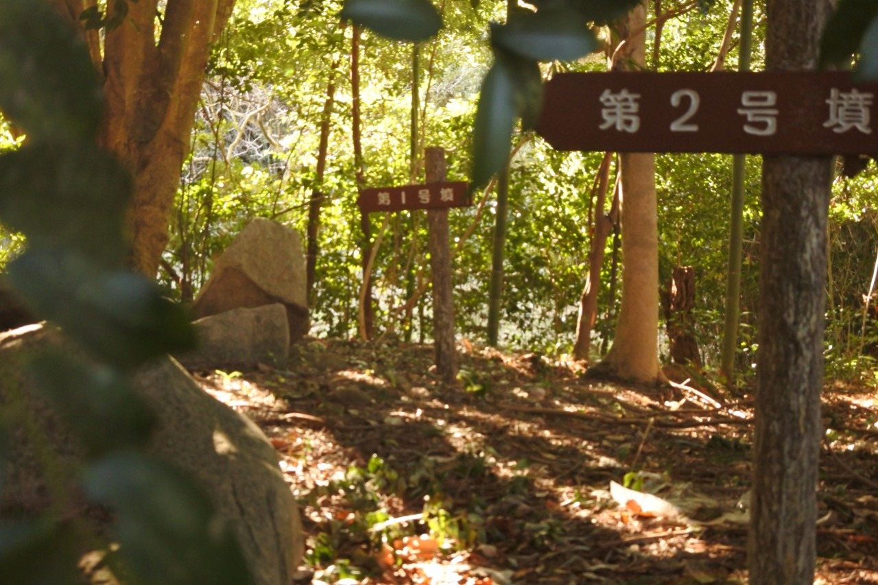 Shinshutsu Kofun Gun