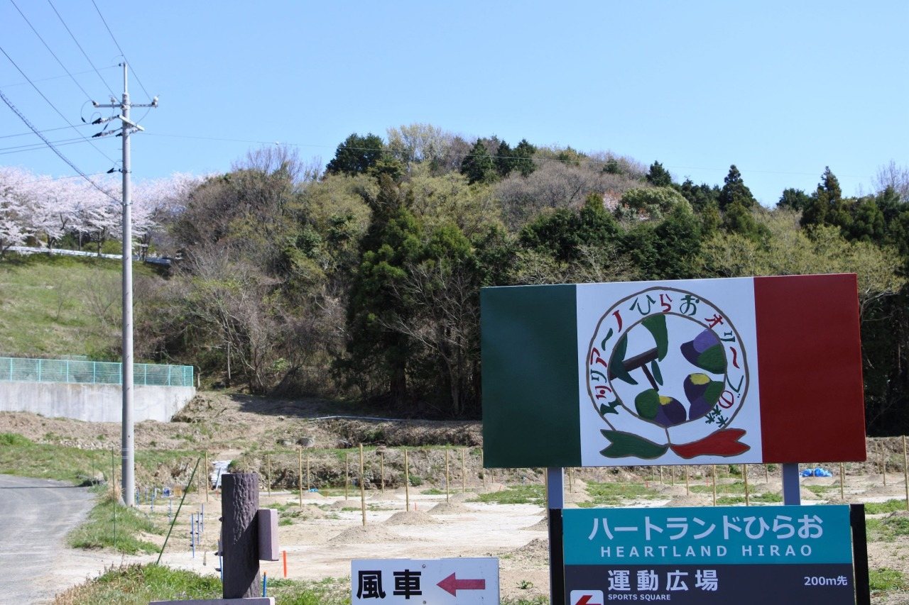Italiano Hirao Olive Forest