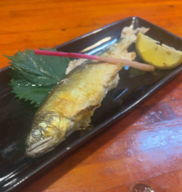 よらんの