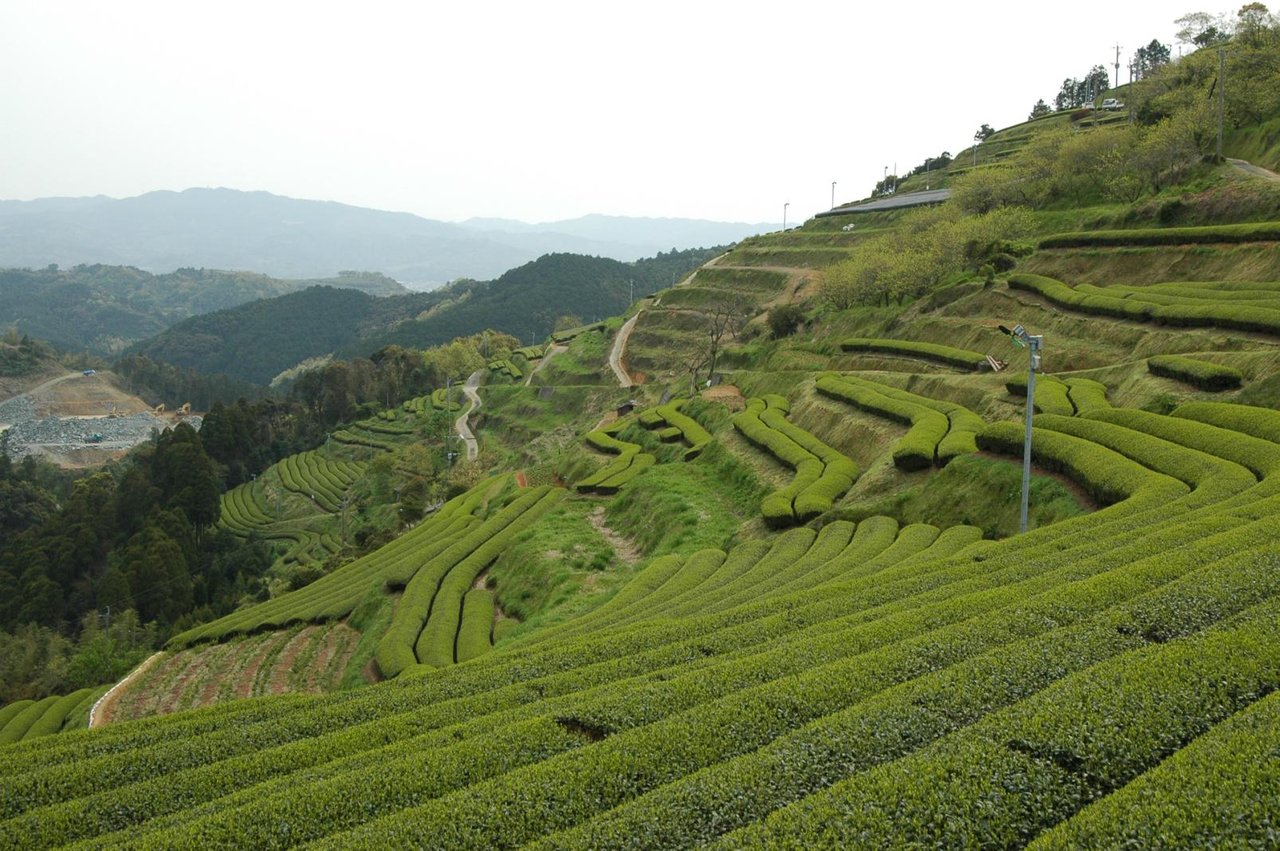 Koshio Terraced Fields